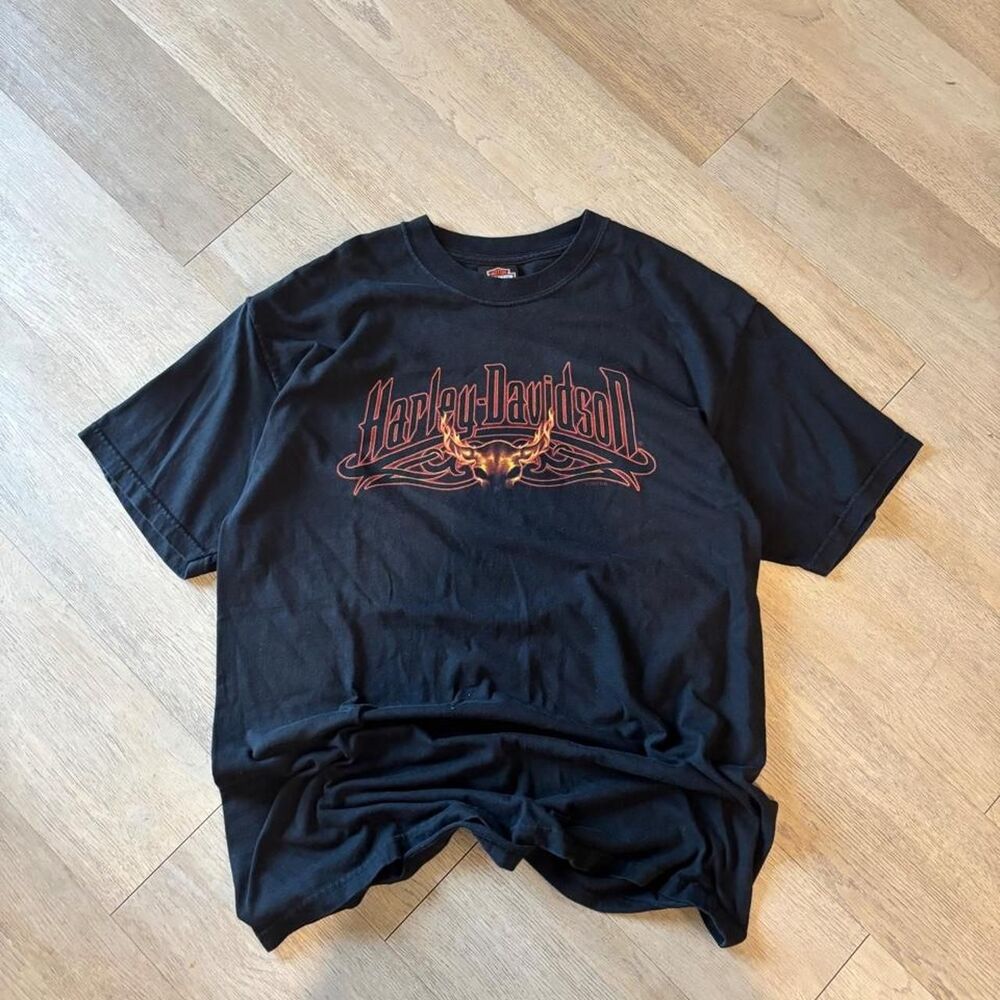 Harley-davidson Men's Black T-shirt